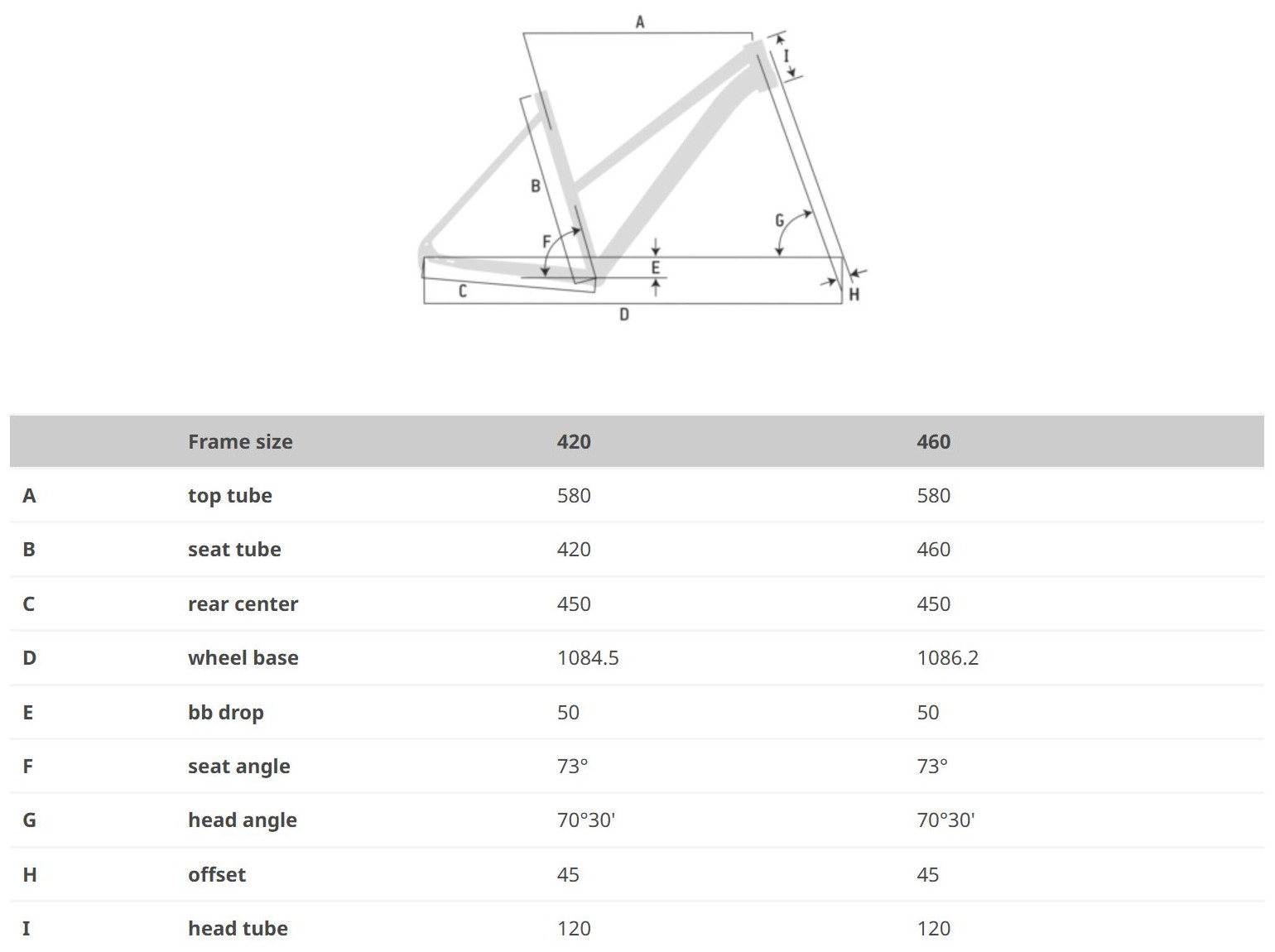 NERGETIC 28 LADY GEOMETRY